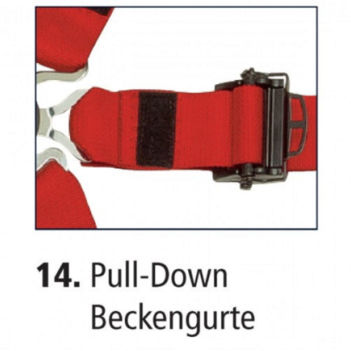 OMP ONE 2 Pull Down Sicherheitsgurt