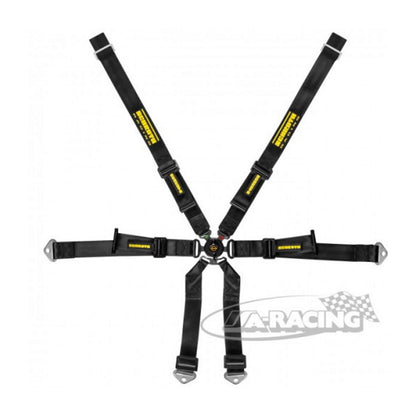 Schroth Profi Porsche 991 2x2