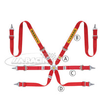Sabelt Silver Rally 2-2 Sicherheitsgurt, Aluminiumversteller