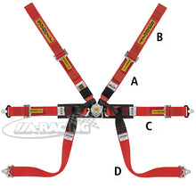 Sabelt Steel Formula MID Sicherheitsgurt