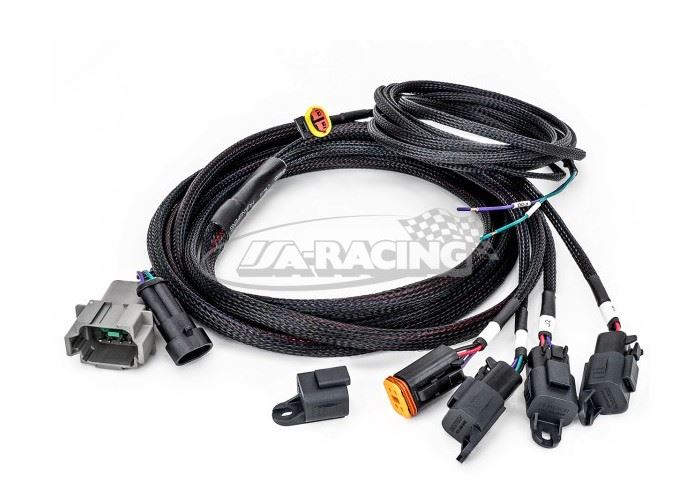 Lazer Kabelbaum für 4 Module, Deutsch DT-Anschlussstecker Carbon 6 Gen3