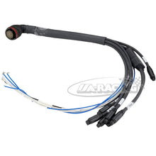 AiM Kabelbaum 22 Pin-Deutsch Stecker