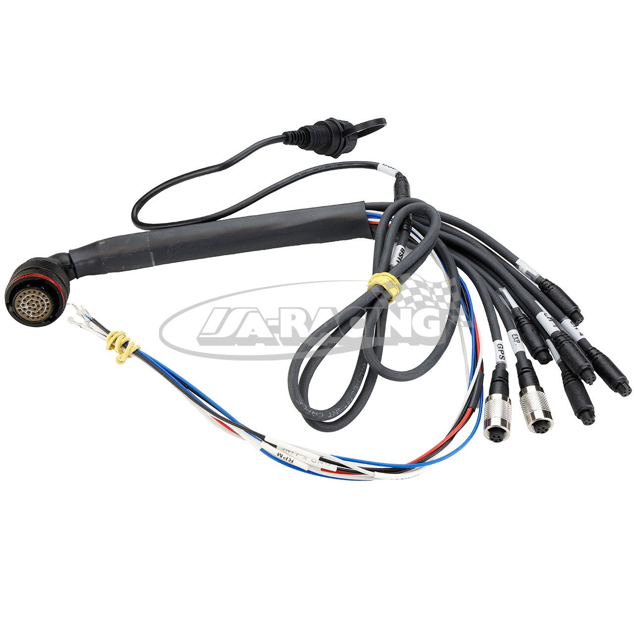 AiM Kabelbaum 37 Pin-Deutsch Stecker