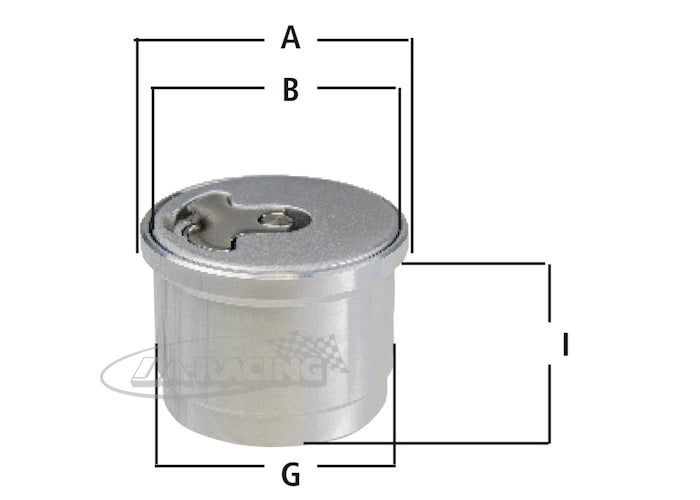 Newton Aero 300 Tankdeckel mit Flansch
