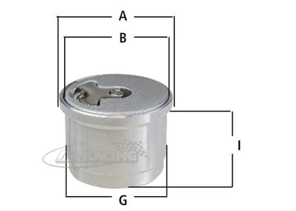 Newton Aero 300 Tankdeckel mit Flansch