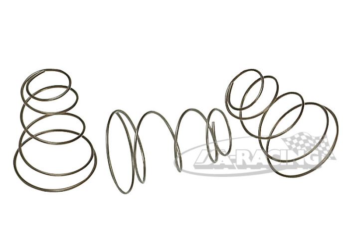 AP Bremskolbenfedern