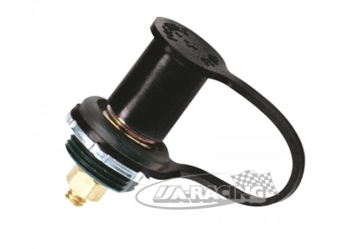 Batteriepol für Fremdstartmöglichkeit