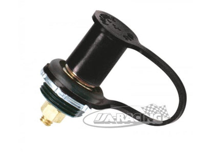 Batteriepol für Fremdstartmöglichkeit