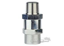 Einschraubfilter, 150 Micron, für 3/8"NPT Gewinde