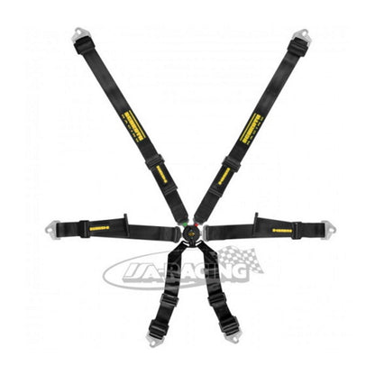 Schroth Profi 2x2 pull up Sicherheitsgurt