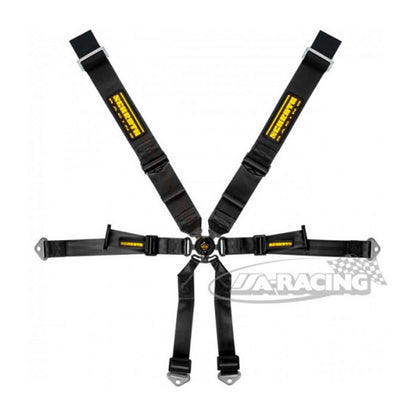 Schroth Profi Porsche 981 3x2