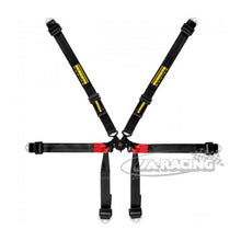 Schroth Formula 2x2 Sicherheitsgurt