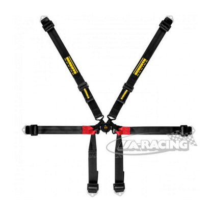 Schroth Formula 2x2 Sicherheitsgurt