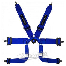 Willans Sicherheitsgurt Silverstone 3-3